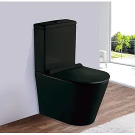 УНИТАЗ-НАПОЛЬНЫЙ ESBANO ALAGON-C ЧЕРНЫЙ МАТОВЫЙ