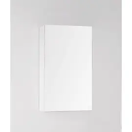 ЗЕРКАЛО-ШКАФ STYLE LINE АЛЬТАИР 40