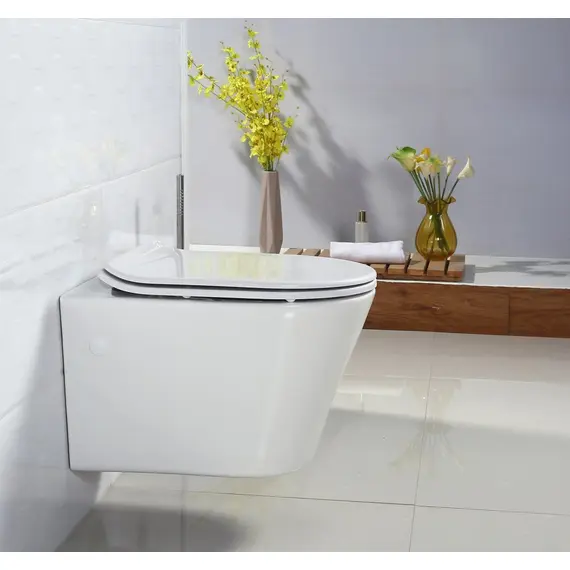 УНИТАЗ ПОДВЕСНОЙ БЕЗОБОДКОВЫЙ BELBAGNO FLAY-R