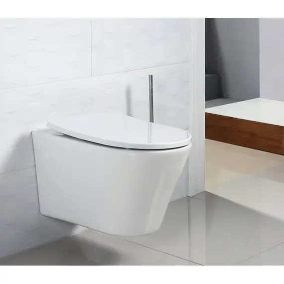 УНИТАЗ ПОДВЕСНОЙ БЕЗОБОДКОВЫЙ BELBAGNO FLAY-R