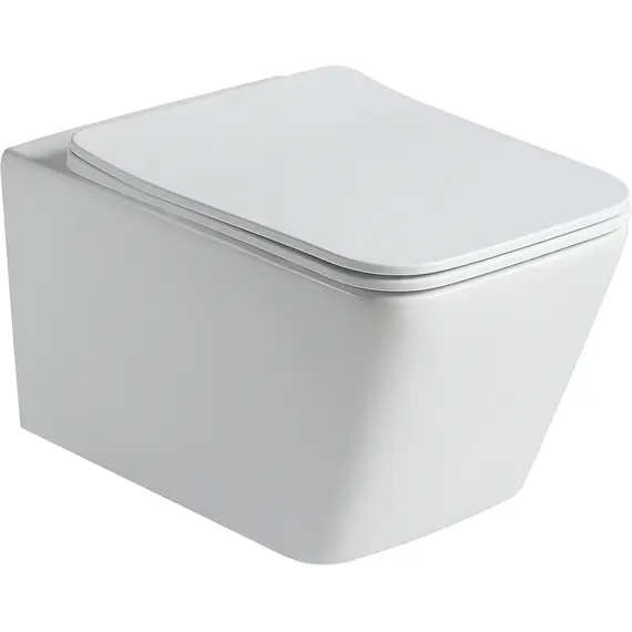 SANTILINE SL-5007MW УНИТАЗ ПОДВЕСНОЙ, БЕЗОБОДКОВЫЙ, БЕЛЫЙ-МАТОВЫЙ (СИДЕНЬЕ МИКРОЛИФТ)