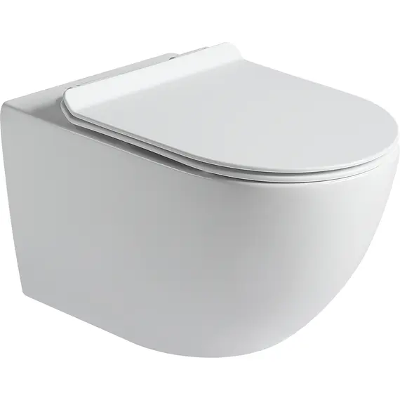 SANTILINE SL-5002MW УНИТАЗ ПОДВЕСНОЙ, БЕЗОБОДКОВЫЙ,БЕЛЫЙ МАТОВЫЙ (СИДЕНЬЕ МИКРОЛИФТ)