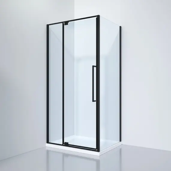 ДУШЕВОЙ УГОЛОК BLACK & WHITE S818 BC 100Х80Х195