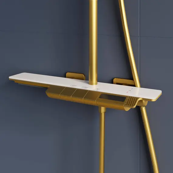 ДУШЕВАЯ СТОЙКА RGW SP-34G