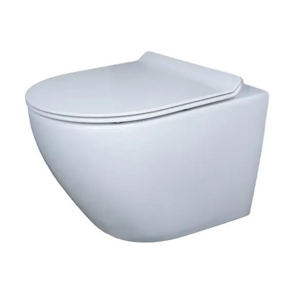 БЕЗОБОДКОВЫЙ ПОДВЕСНОЙ УНИТАЗ GID TR2198 С ПРОЧНОЙ КРЫШКОЙ-МИКРОЛИФТ ИЗ ДЮРОПЛАСТА