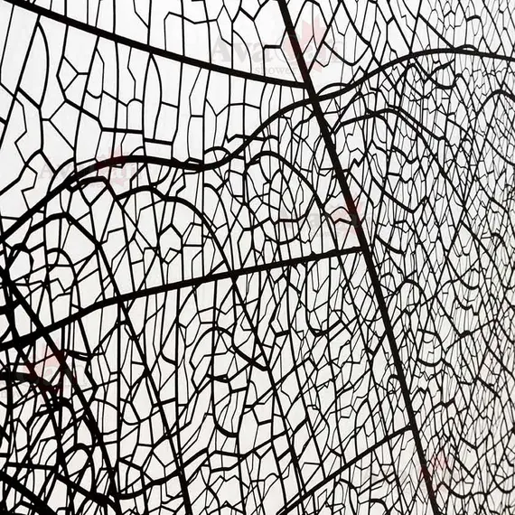 ДУШЕВАЯ ПЕРЕГОРОДКА AVACAN MB120