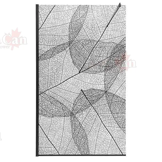 ДУШЕВАЯ ПЕРЕГОРОДКА AVACAN MB120