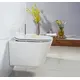 УНИТАЗ ПОДВЕСНОЙ БЕЗОБОДКОВЫЙ BELBAGNO FLAY-R