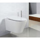 УНИТАЗ ПОДВЕСНОЙ БЕЗОБОДКОВЫЙ BELBAGNO FLAY-R