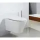 УНИТАЗ ПОДВЕСНОЙ БЕЗОБОДКОВЫЙ BELBAGNO FLAY-R